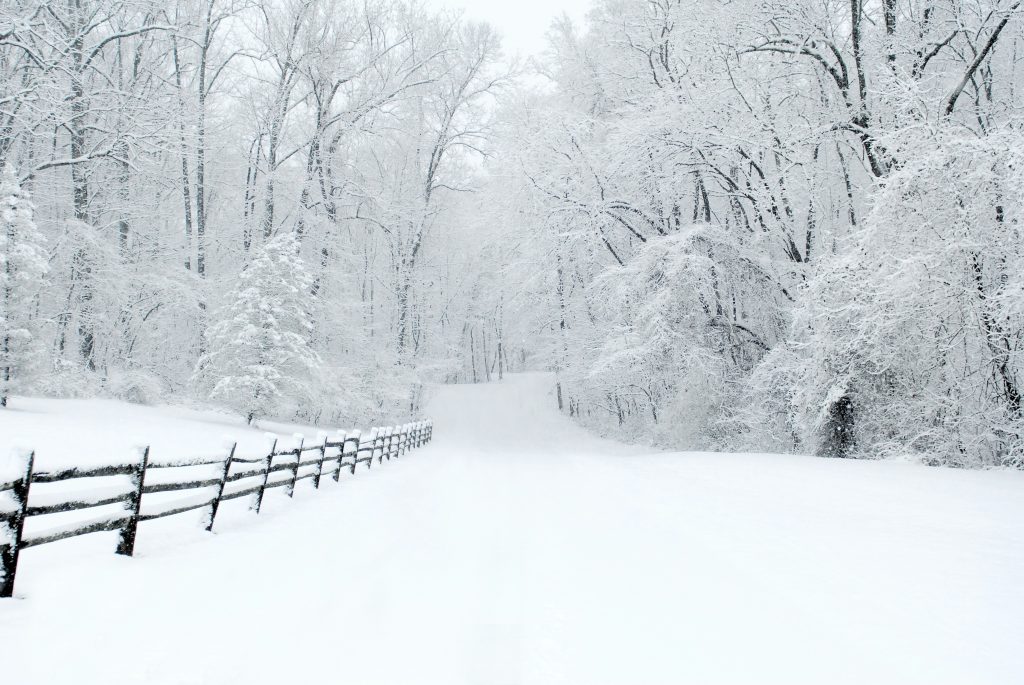 Winter 4